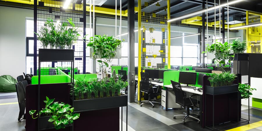 Văn phòng xanh nhờ cây cối 